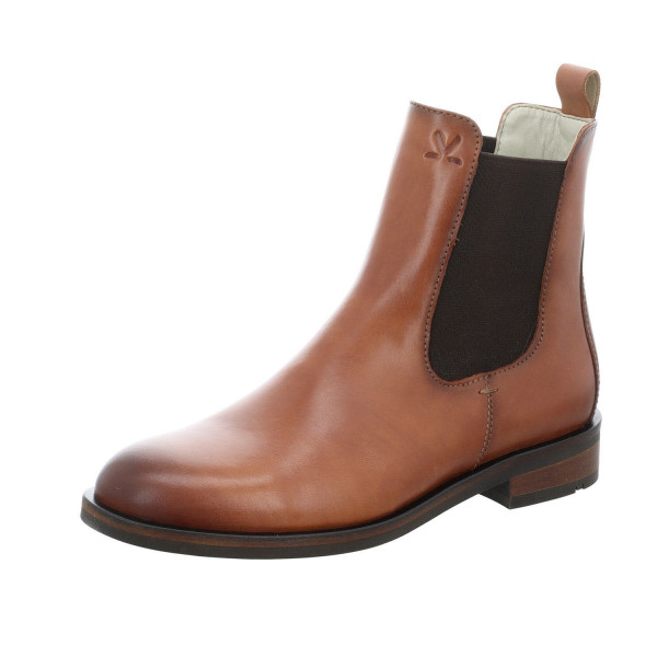 Lloyd DARA 315 260 331 226 - Bild 1