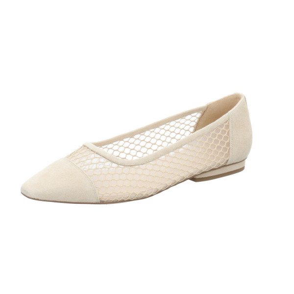 Peter Kaiser 227 436 093 - Bild 1