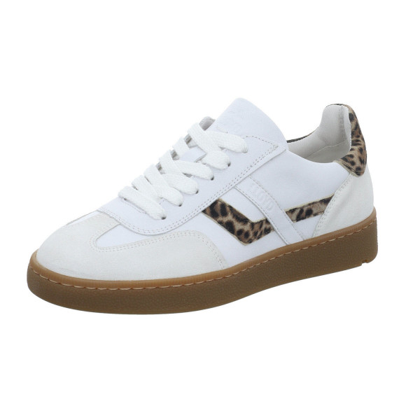 Lloyd BRAVA 235 196 108 - Bild 1