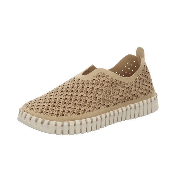 245 434 000 - Bild 1