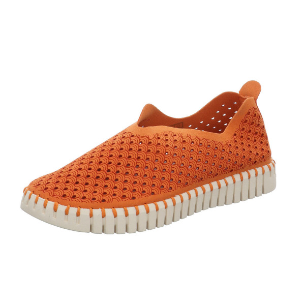 245 564 000 - Bild 1