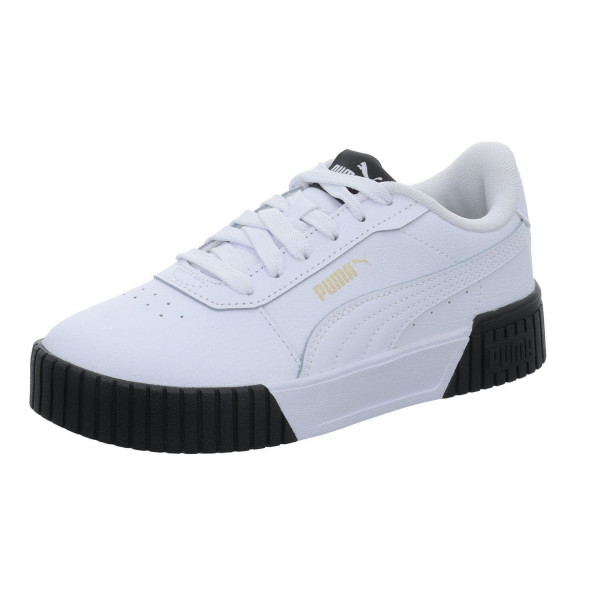 Puma Carina 2.0 236 101 055 - Bild 1