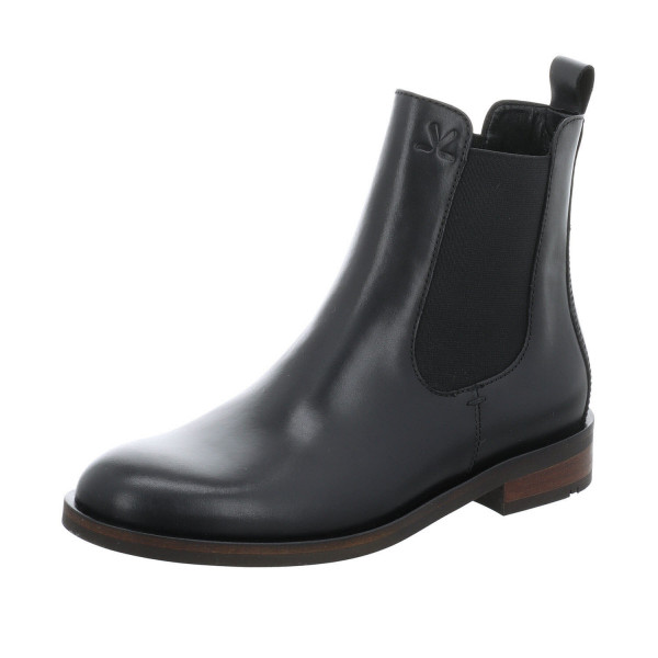 Lloyd DARA 315 260 001 914 - Bild 1