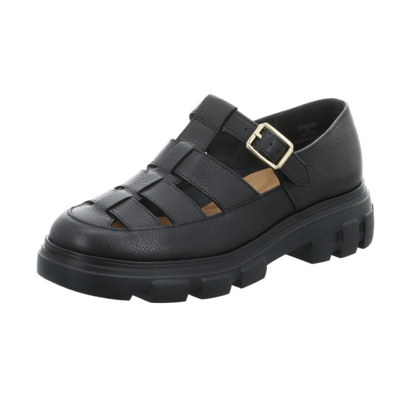 Paul Green 0079-1204-049 245 001 048 - Bild 1